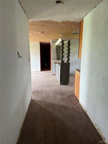 12427 Sasha Drive, Santa Rosa, TX 78593