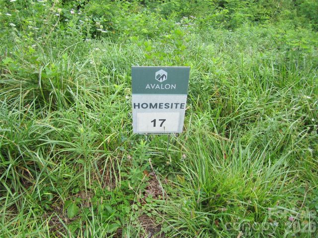 000 Signature Row Boulevard Lot 17, Waynesville, NC 28785