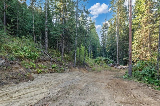 80 Virginia Ln, Newport, WA 99156