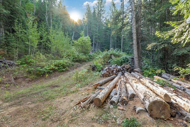 80 Virginia Ln, Newport, WA 99156