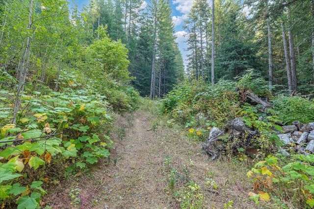 80 Virginia Ln, Newport, WA 99156