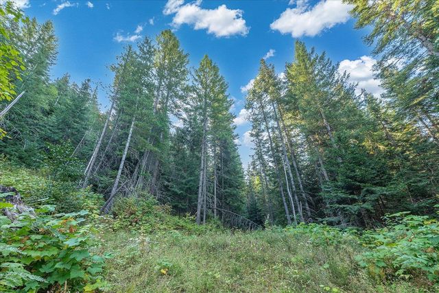 80 Virginia Ln, Newport, WA 99156