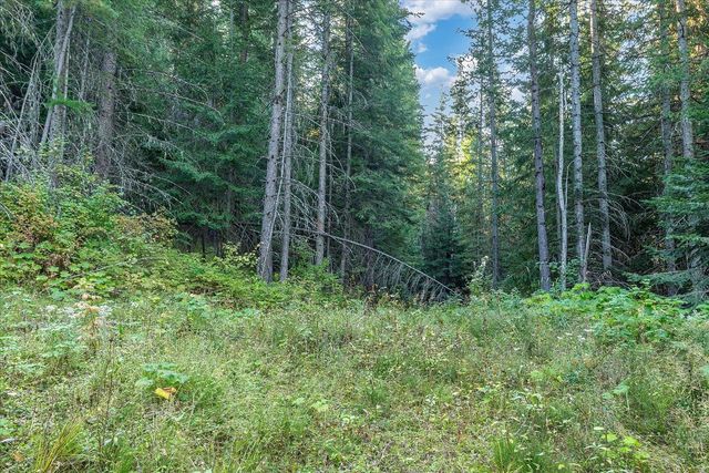 80 Virginia Ln, Newport, WA 99156