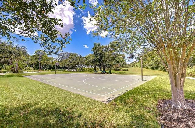 13572 AVISTA DRIVE, Tampa, FL 33624