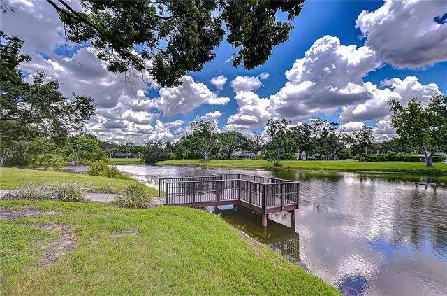 13572 AVISTA DRIVE, Tampa, FL 33624