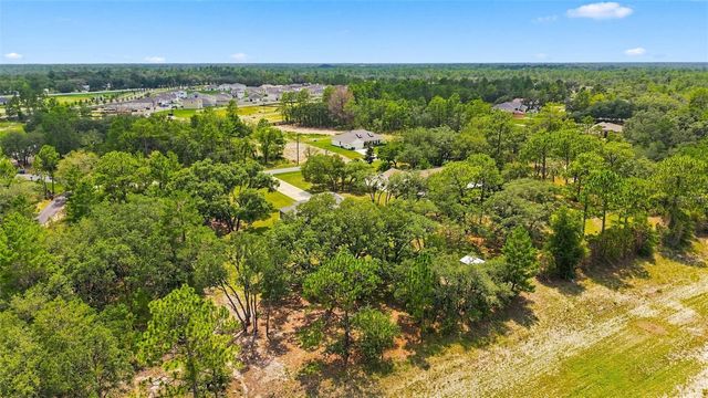 10345 MEADOW WREN AVENUE, Weeki Wachee, FL 34613