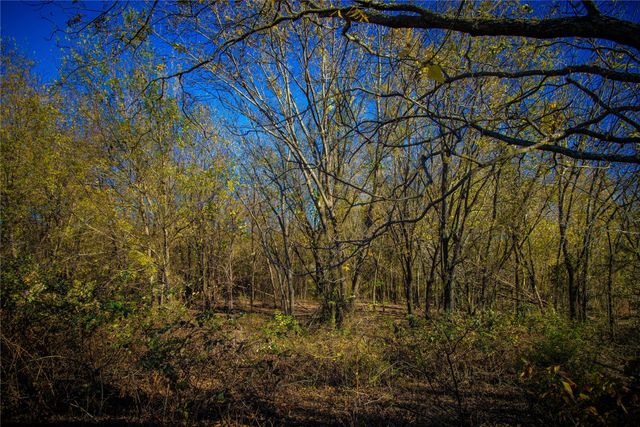 Tract 4 Lazy E Rd, St Jo, TX 76265