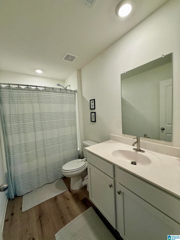 1713 DIXON CIRCLE, Mount Olive, AL 35117