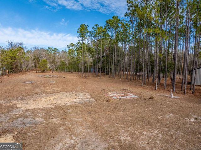 191 Boxelder Lane TRACT 2, Ocilla, GA 31774
