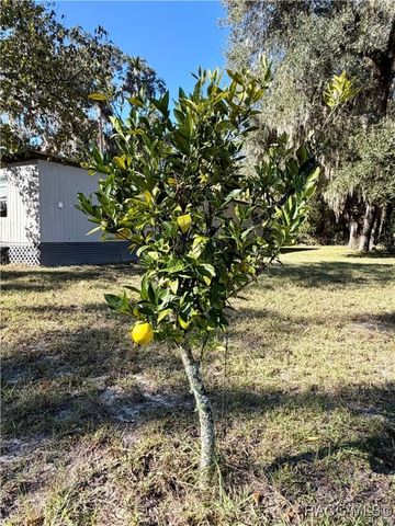 22 Pine Street, Inglis, FL 34449