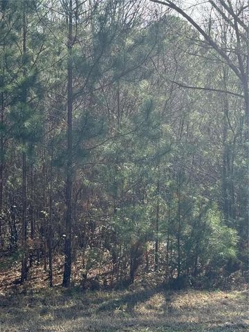 13905 Brown Bridge Road, Covington, GA 30016