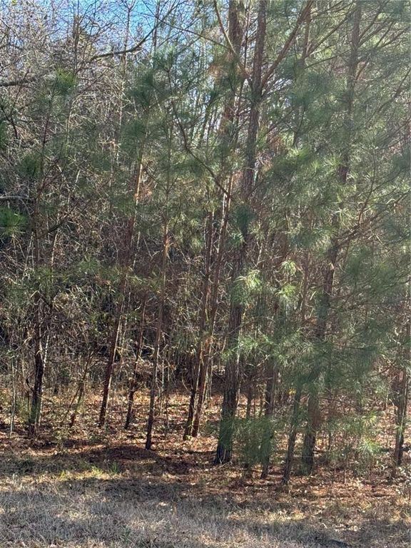 13905 Brown Bridge Road, Covington, GA 30016