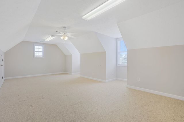 1039 University Forest Dr., Conway, SC 29526