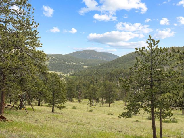 839 Ski Rd, Allenspark, CO 80510