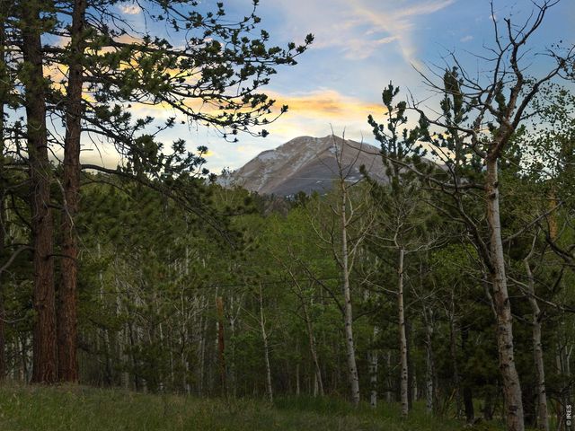 839 Ski Rd, Allenspark, CO 80510