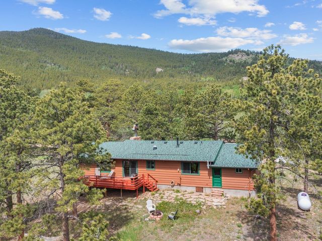 839 Ski Rd, Allenspark, CO 80510