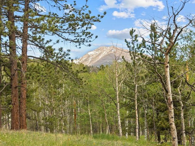 839 Ski Rd, Allenspark, CO 80510