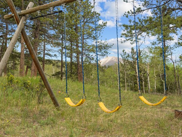 839 Ski Rd, Allenspark, CO 80510