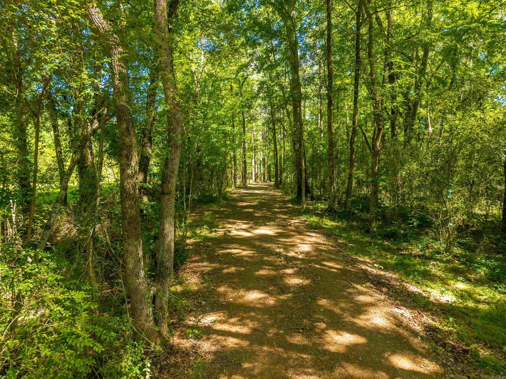 000 Timberlake Drive, Royal, AR 71968 — photo 10