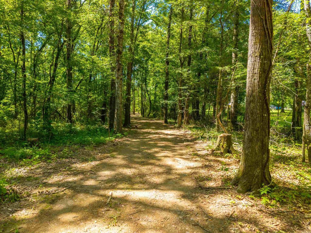000 Timberlake Drive, Royal, AR 71968 — photo 11