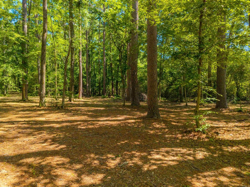 000 Timberlake Drive, Royal, AR 71968 — photo 22