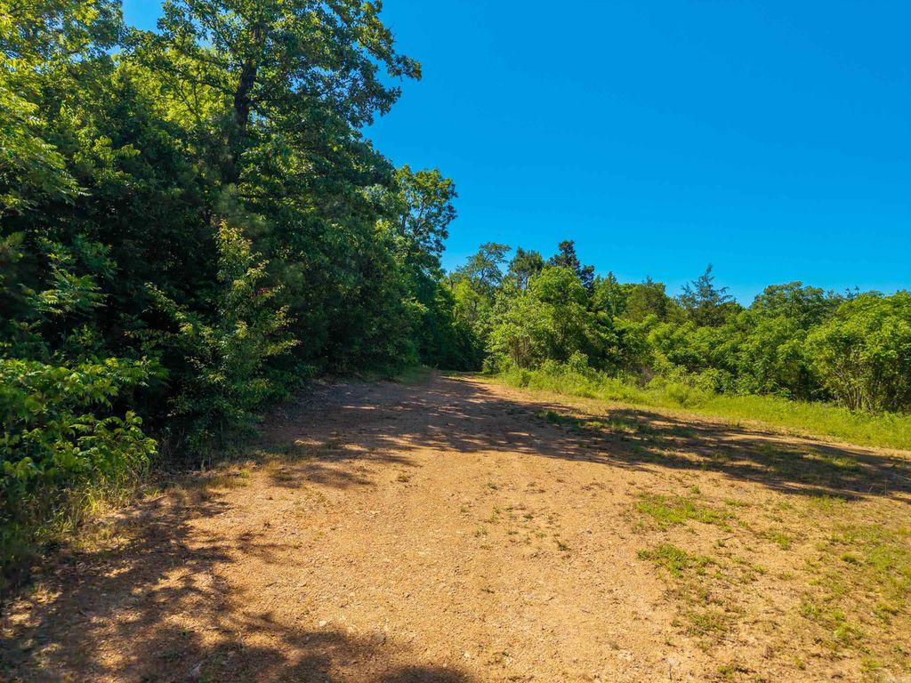000 Timberlake Drive, Royal, AR 71968 — photo 23