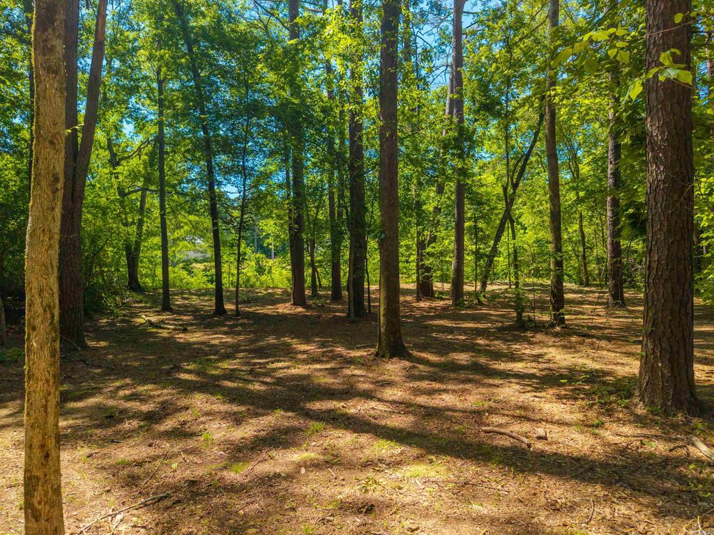 000 Timberlake Drive, Royal, AR 71968 — photo 4