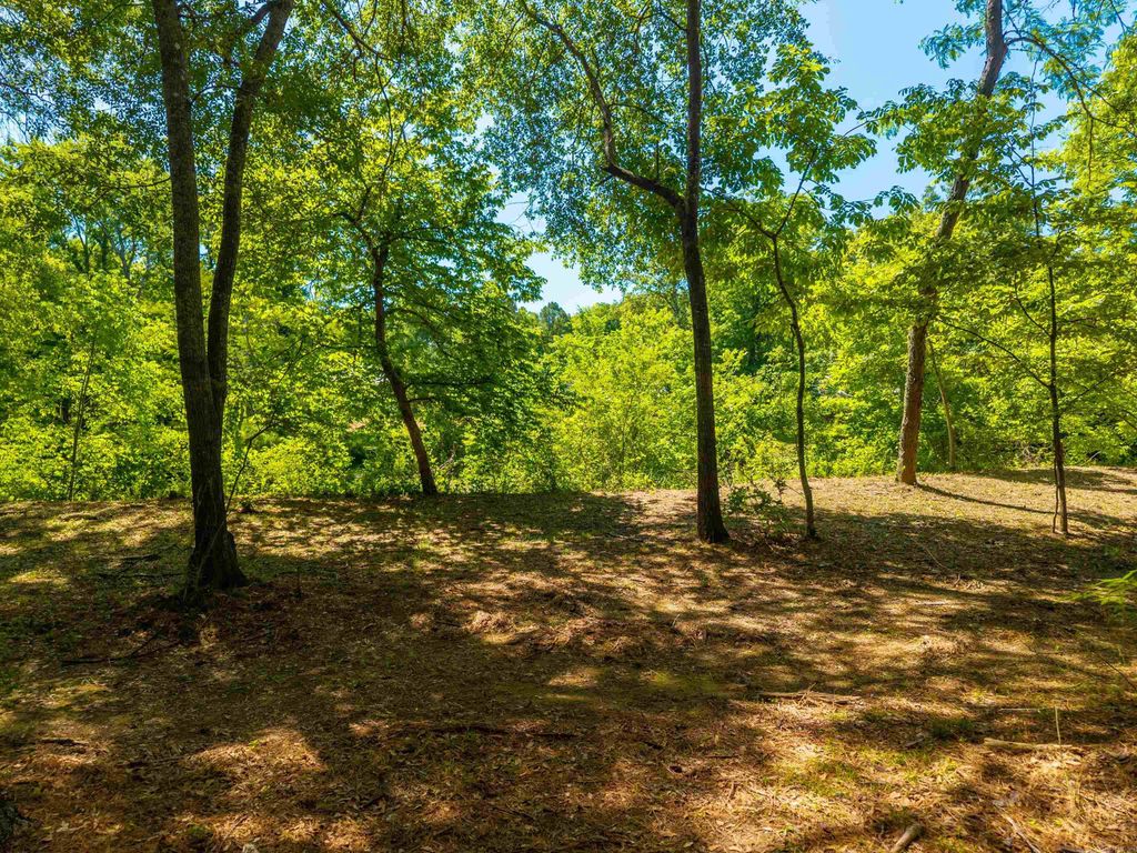 000 Timberlake Drive, Royal, AR 71968 — photo 5