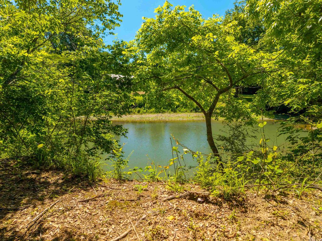 000 Timberlake Drive, Royal, AR 71968 — photo 6