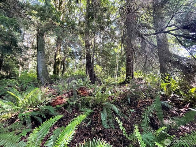 0 State Hwy 3, Poulsbo, WA 98370