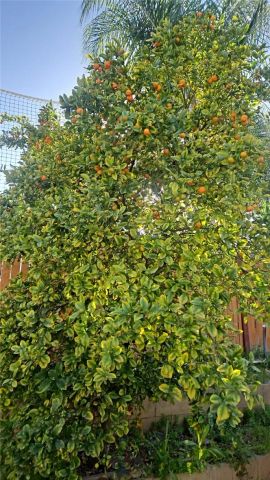 4132 Crooked Stick, Corona, CA 92883