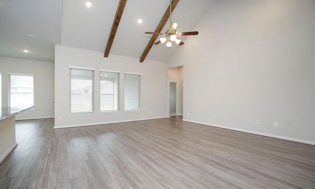 31611 Lyle Manor Drive, Hockley, TX 77447