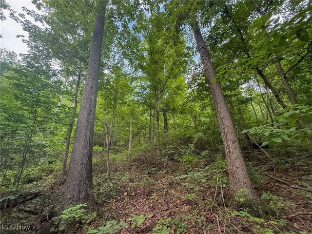 Sand Hill Rd, Bellaire, OH 43906