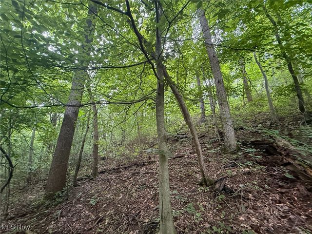 Sand Hill Rd, Bellaire, OH 43906