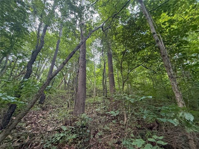 Sand Hill Rd, Bellaire, OH 43906