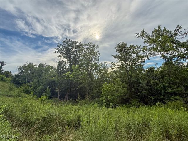 Sand Hill Rd, Bellaire, OH 43906