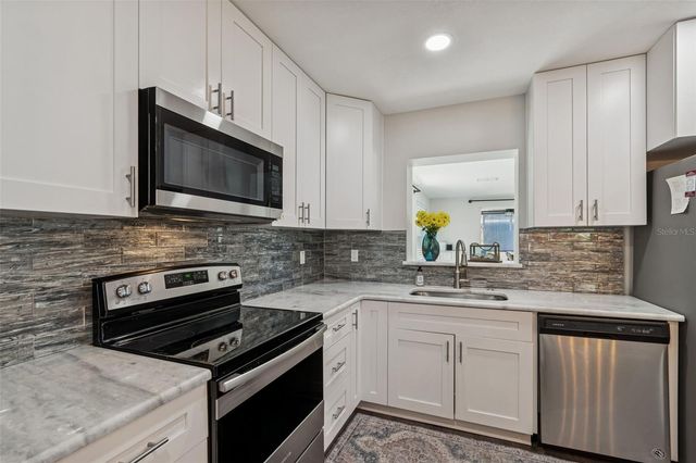 1450 SAN ROY DRIVE, Dunedin, FL 34698