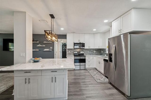 1450 SAN ROY DRIVE, Dunedin, FL 34698