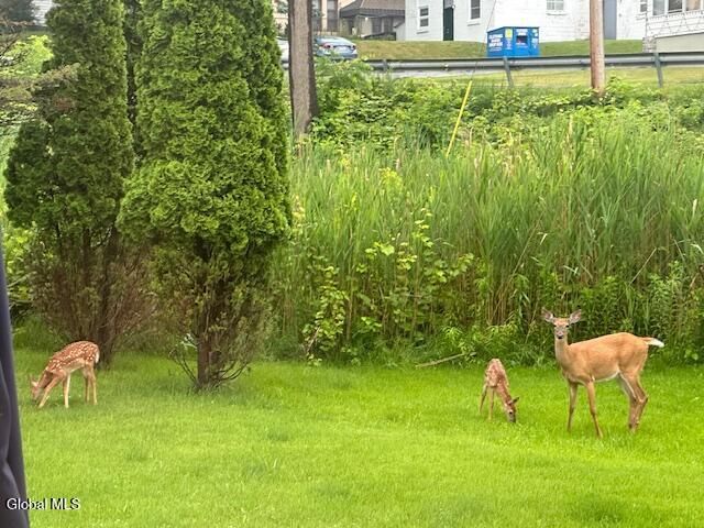 2 Hampton Avenue, East Greenbush, NY 12144