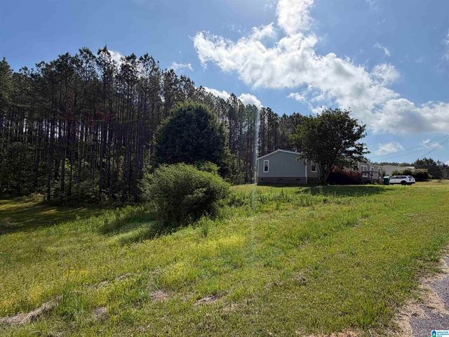 60 ABINGDON TRACE, Odenville, AL 35120