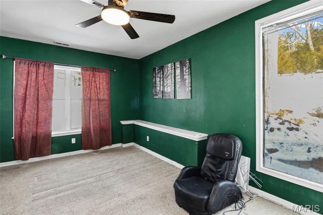 4446 Wilson Hill Drive, Festus, MO 63028