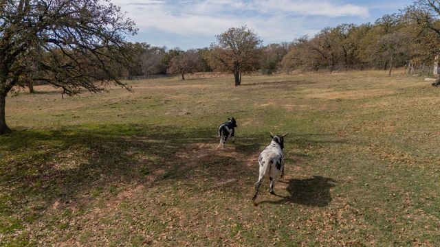 218 Private Road 3638, Springtown, TX 76082