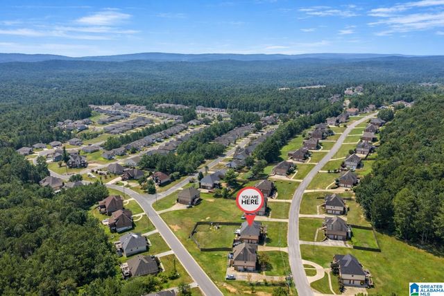 675 BROOKHAVEN DRIVE, Odenville, AL 35120
