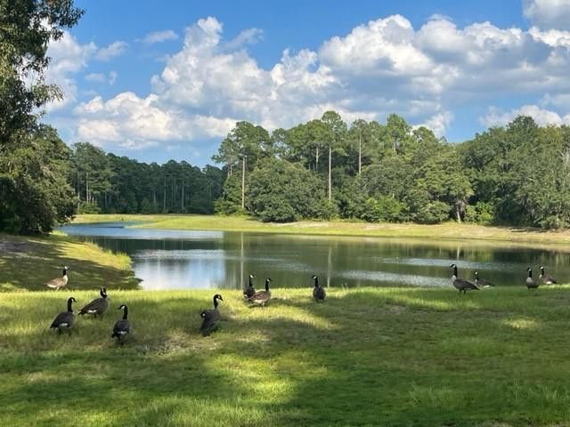 1997 Coopers Point Drive NE, Townsend, GA 31331