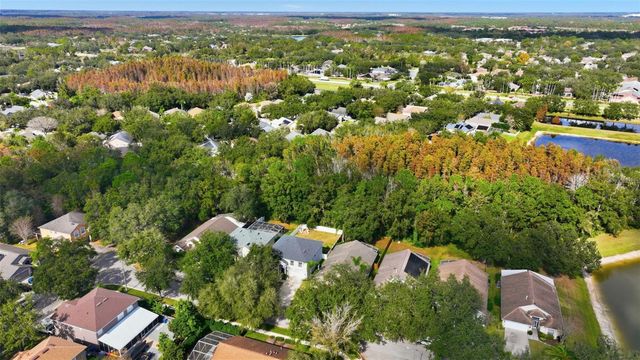 8606 BUTTONBUSH COURT, Tampa, FL 33647