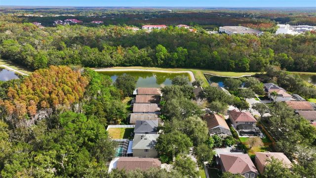 8606 BUTTONBUSH COURT, Tampa, FL 33647