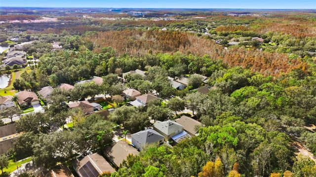 8606 BUTTONBUSH COURT, Tampa, FL 33647