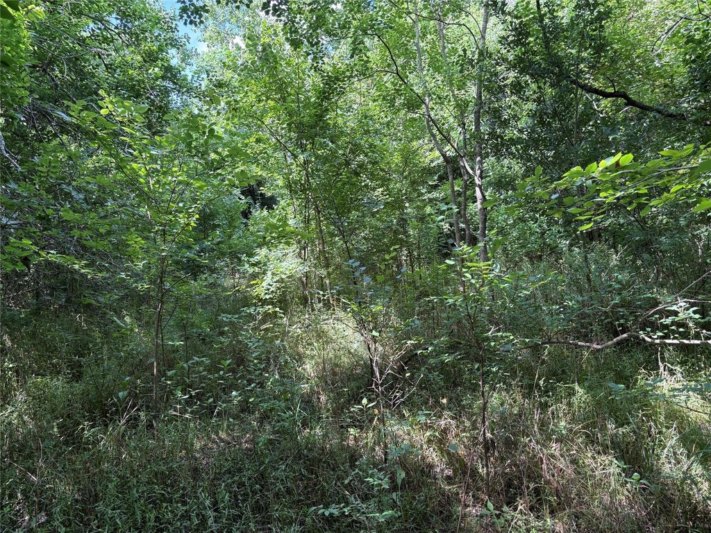 0 Donna Street, Houston, TX 77048