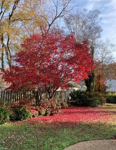 68 Hopkins ST, Newport News, VA 23601