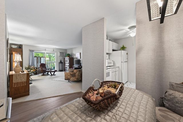 4045 Hodgson Road 317, Shoreview, MN 55126